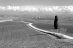 Crete B/N Crete B/N
