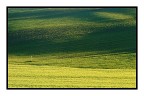 ...campi... ...campi...
