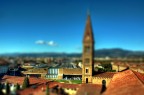Santa Maria Novella plastico Santa Maria Novella plastico