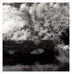 Il ponte oscuro Il ponte oscuro