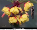 Giallo... sempre giallo, sarą una mania? Giallo... sempre giallo, sarą una mania?