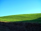 IL GRANO CORTO IL GRANO CORTO
