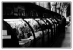 Libreria Libreria