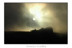 Atraverso la nebbia Atraverso la nebbia