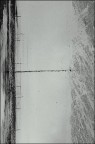 ... ...