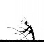 Il vecchio contadino