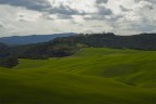 ONDE VERDISSIME ONDE VERDISSIME