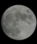 Luna Luna