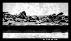 La forza del vento La forza del vento