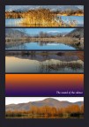 The sound of the silence