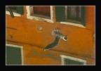 ...riflessioni in volo... ...riflessioni in volo...