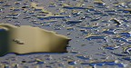 Riflessi 1 Riflessi 1