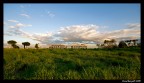...correre tra natura e città.. ...correre tra natura e città..