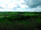 Colline senesi Colline senesi