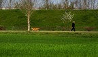 A Spasso con ......... A Spasso con .........