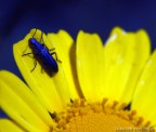 ultima tintarella del giorno ultima tintarella del giorno