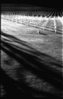 cimitero americano cimitero americano