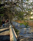 Sulla riva del torrente