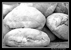 Pane Pane