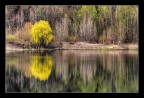Riflessi primaverili... Riflessi primaverili...