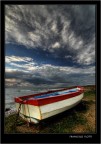 La barca La barca