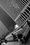 NY in BN NY in BN