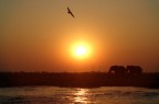 tramonto africano tramonto africano