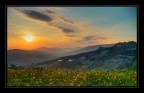 Colline al Tramonto Colline al Tramonto