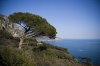 Verso il mare Verso il mare
