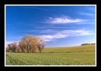 ...quadretto rurale... ...quadretto rurale...