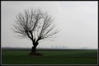 foschia padana foschia padana