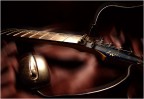 Musica Digitale Musica Digitale