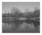 Riflessi monocromatici Riflessi monocromatici