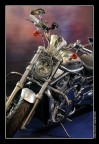 dreams dreams