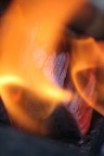 Fuego Fuego
