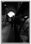 Libreria Nanni Bologna