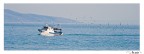 ... la scia ... ... la scia ...