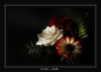 La Vita e' bella La Vita e' bella