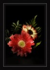 fiore4 fiore4