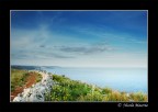 L'anima del salento L'anima del salento