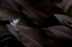 Una Luce Nel Buio