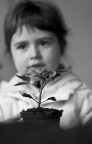Ritratto..."Botanico" Ritratto..."Botanico"