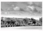 The Bridge The Bridge