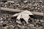 Autunno Autunno