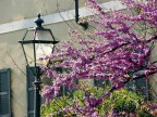 E' Primavera!