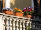 Balcone fiorito Balcone fiorito