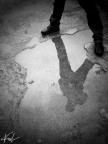 ...introspection... ...introspection...
