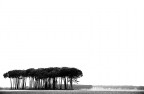 macchia mediterranea macchia mediterranea