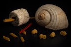 Penne, Conchiglie e Spaghetti Penne, Conchiglie e Spaghetti