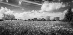 Campagna Campagna